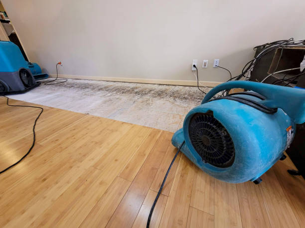 Professional Flood Damage Cleanup technician working in Purmela, TX